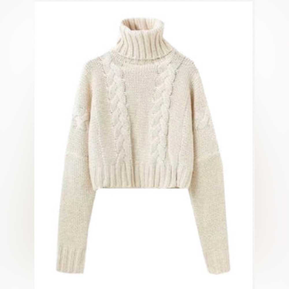 Braided Knit Cropped Turtleneck Sweater